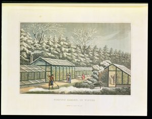 Kweektuin in de winter, uit 